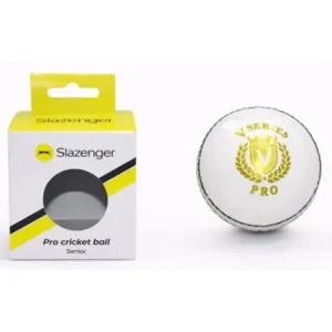 s-001 High Visibility Leather Outdoor Cricket Ball